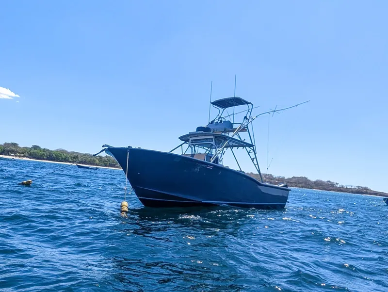 Slide: The Image of Ocean Master 34 1995 - 6030008