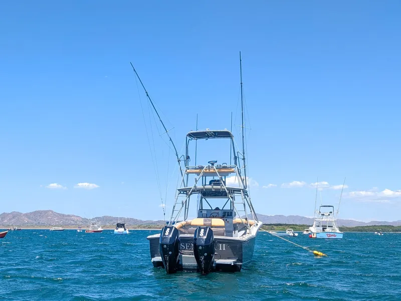 Slide: The Image of Ocean Master 34 1995 - 6030010