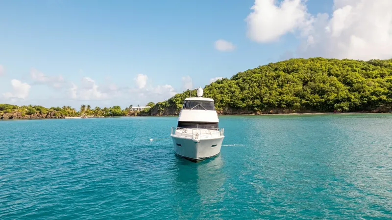 Slide: The Image of Riviera 53 Enclosed Bridge 2015 - 6030304