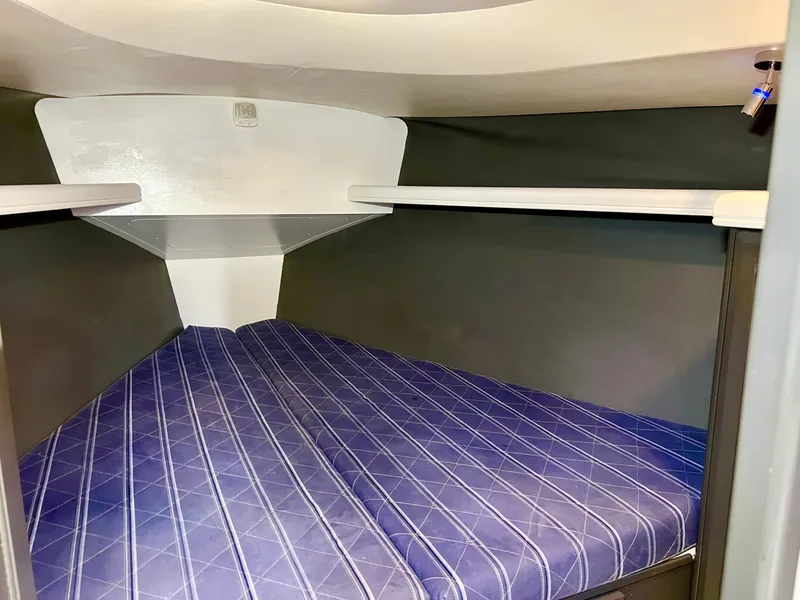 Slide: The Image of Hunter 38 2008 - 6043029