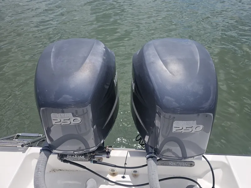 Slide: The Image of Century 2901 CC 2008 - 6031815