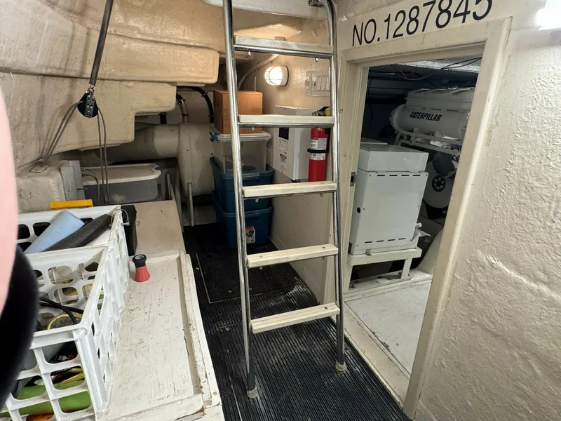 Slide: The Image of Neptunus 56 Express 2001 - 6031741