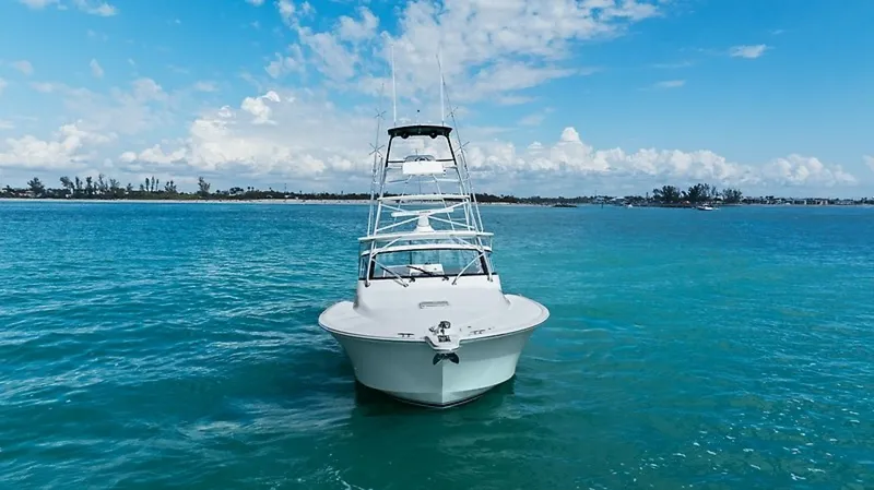 The Image of Albemarle 41 Express 2024 - undefined