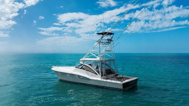 Slide: The Image of 0005634011 - 6034204