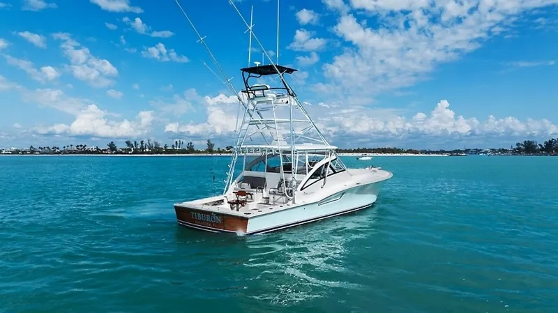 Slide: The Image of 0005634013 - 6034207