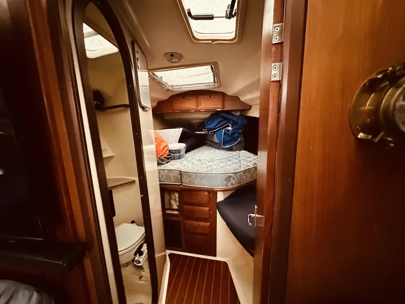 Slide: The Image of Hunter 41 1995 - 6035892