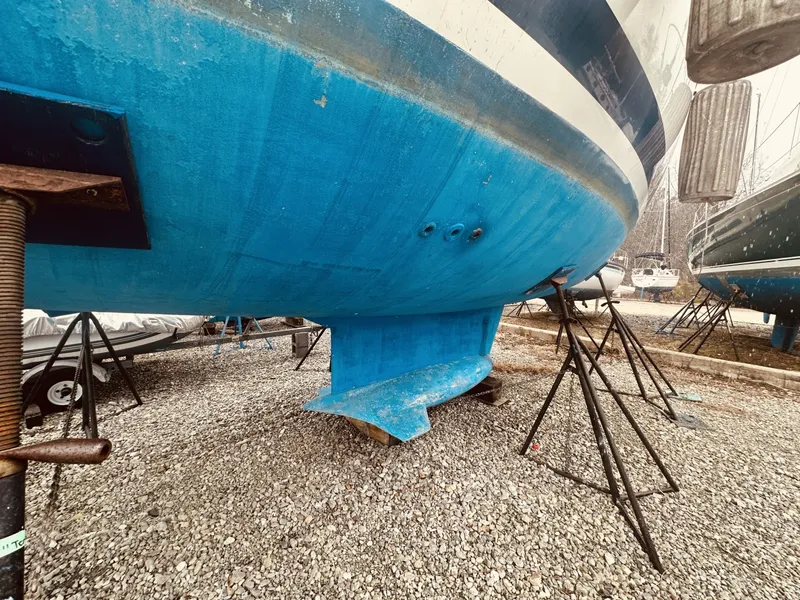 Slide: The Image of Hunter 41 1995 - 6035193