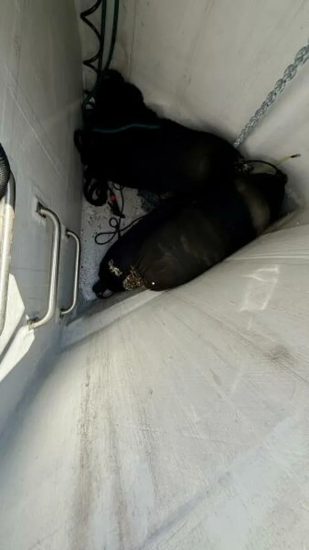 Slide: The Image of Sirena 58 2021 - 6035750