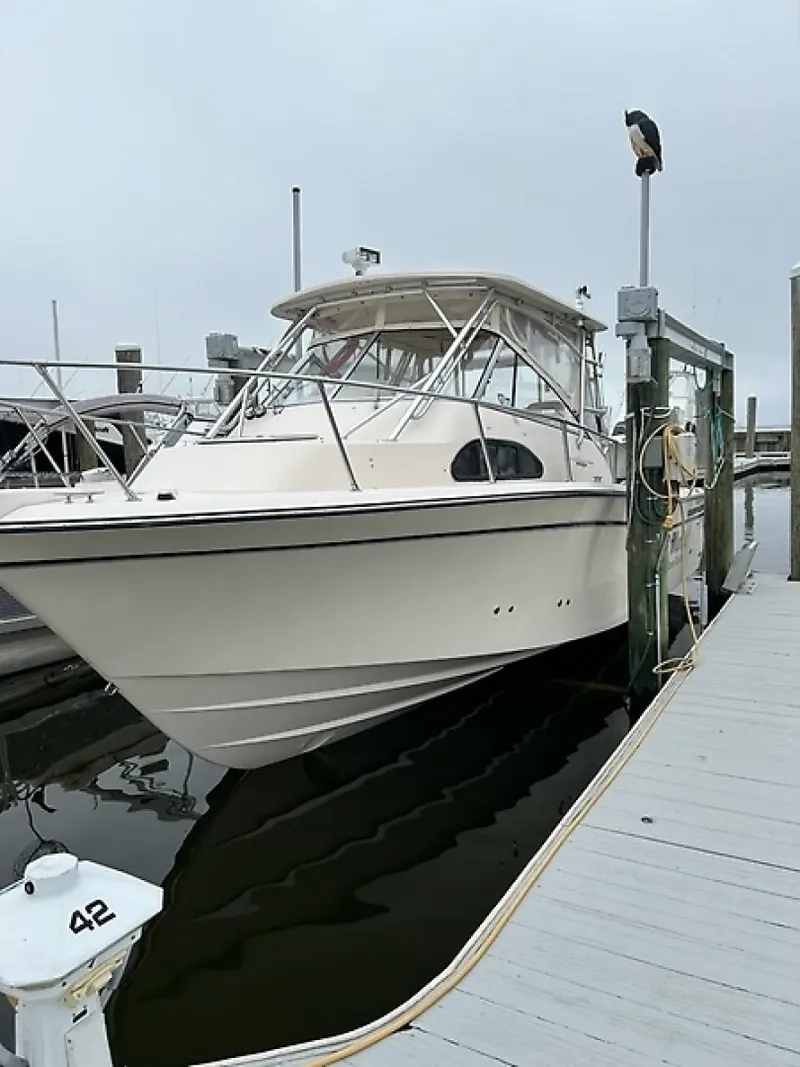 Slide: The Image of 0005589362 - 6039297