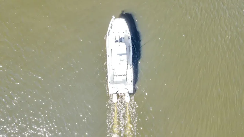 Slide: The Image of Other Custom Nerowalker 35 2024 - 6040119