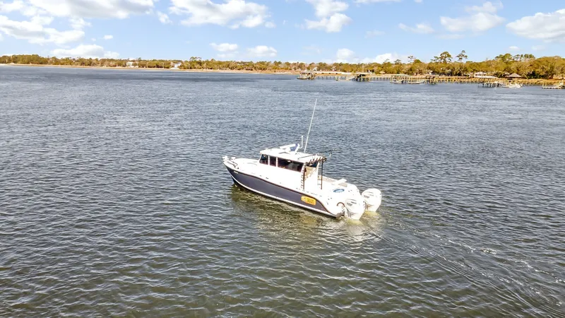 Slide: The Image of Other Custom Nerowalker 35 2024 - 6040118