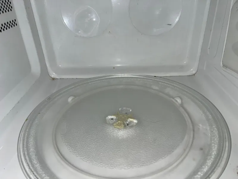 Slide: The Image of Shamrock Mackinaw 270 2006 - 6043485