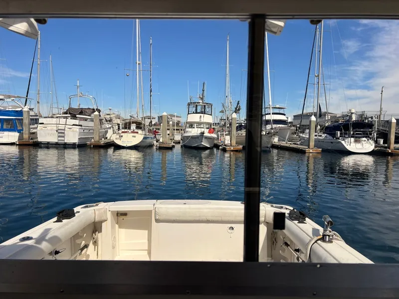 Slide: The Image of Shamrock Mackinaw 270 2006 - 6043479