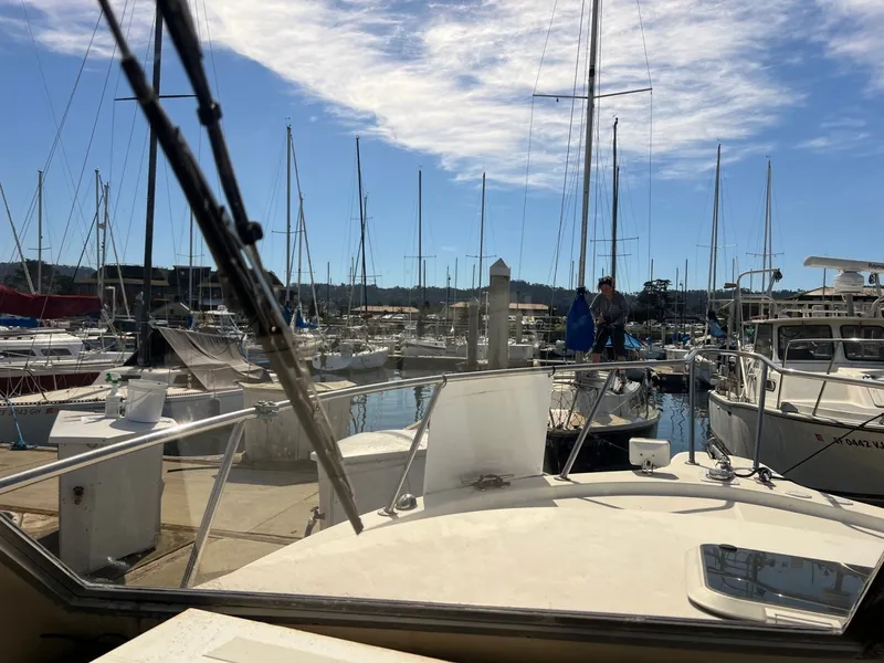 Slide: The Image of Shamrock Mackinaw 270 2006 - 6043482