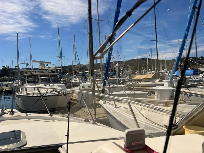 Slide: The Image of Shamrock Mackinaw 270 2006 - 6043483