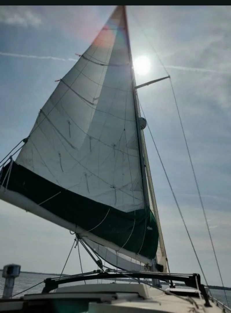 Slide: The Image of Pearson 37 1980 - 6046217