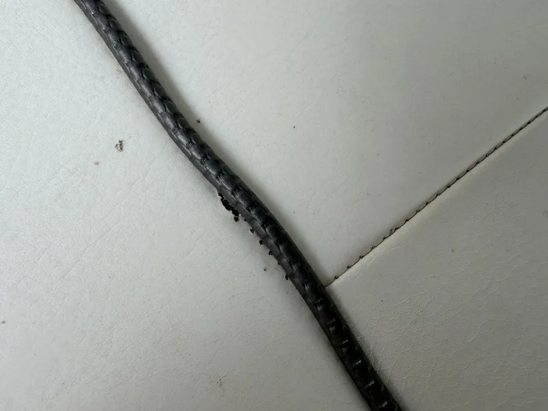 Slide: The Image of Sea Ray 270 Sundancer 2009 - 6042719