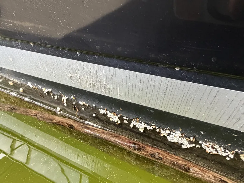 Slide: The Image of Sea Ray 270 Sundancer 2009 - 6042739