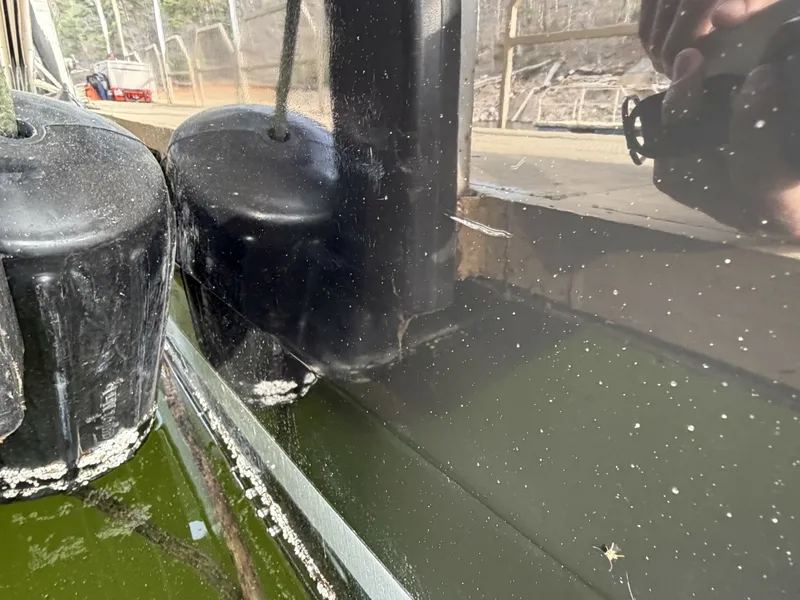 Slide: The Image of Sea Ray 270 Sundancer 2009 - 6042741