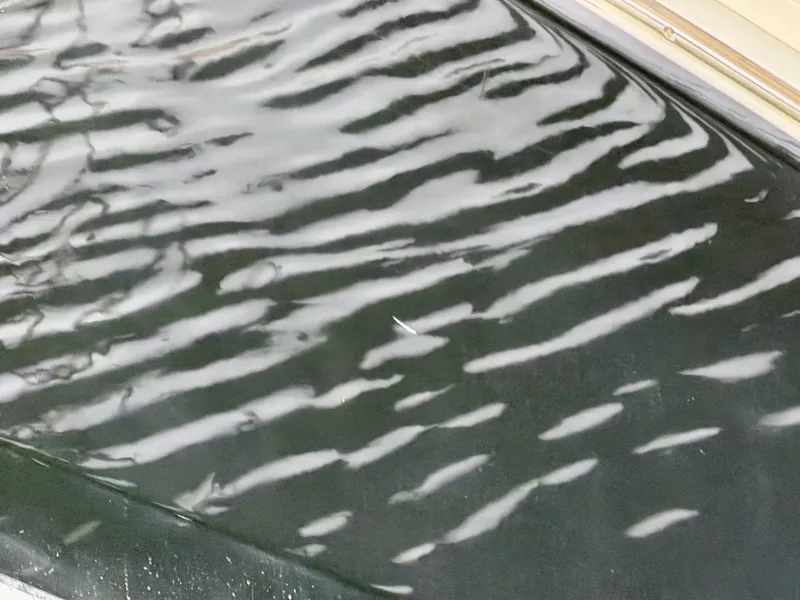 Slide: The Image of Sea Ray 270 Sundancer 2009 - 6042759