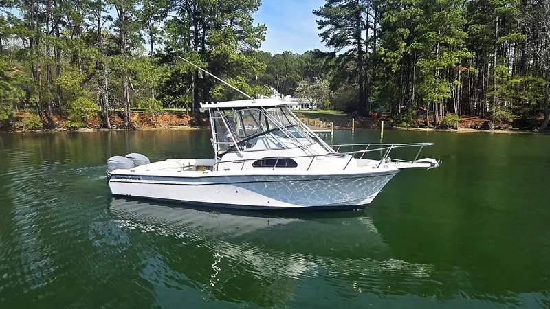 Slide: The Image of 20260402_112028 - 6042877