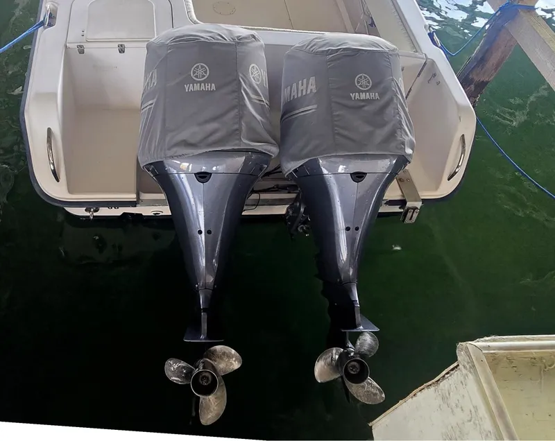 Slide: The Image of 20260402_113049 - 6042879