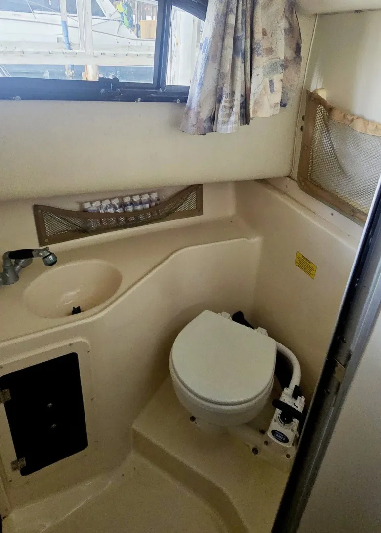 Slide: The Image of 20260402_113137 - 6042883