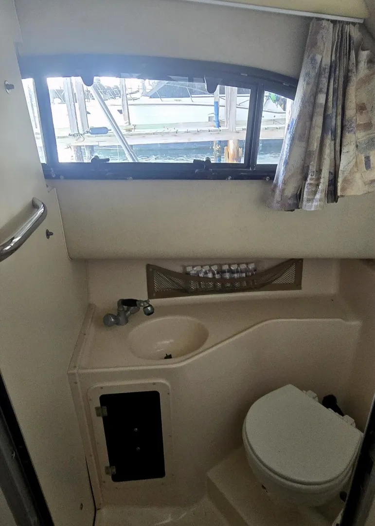 Slide: The Image of 20260402_113140 - 6042884