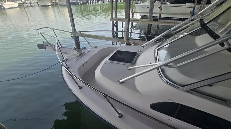 Slide: The Image of 20260402_113245 - 6042889