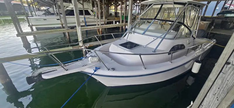 Slide: The Image of 20260402_113255 - 6042890