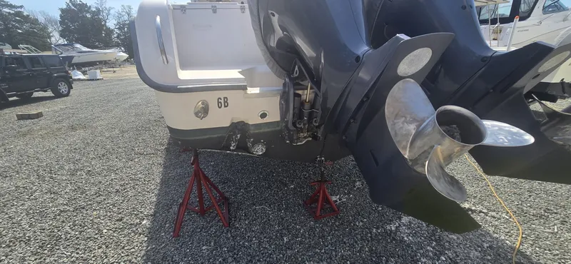 Slide: The Image of 20260326_140312 - 6042868