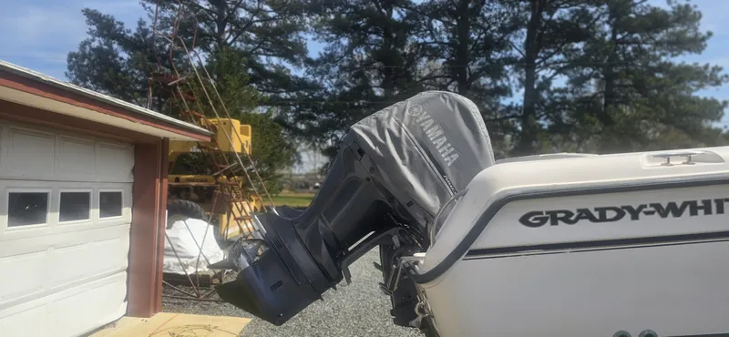 Slide: The Image of 20260326_140407 - 6042870