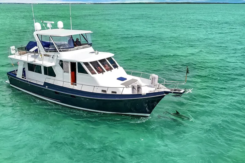 Slide: The Image of Side Profile 2; Porpoise Off Bow - 6062895