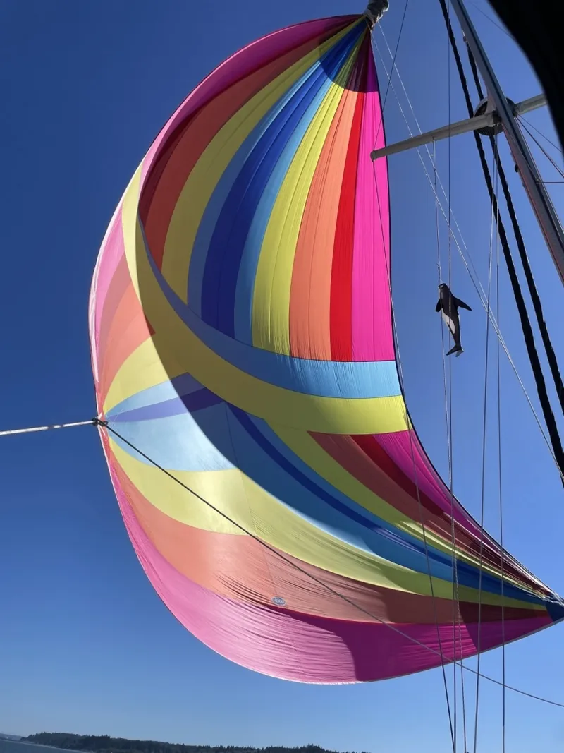 Slide: The Image of Cabo Rico 38R 1990 - 6044088