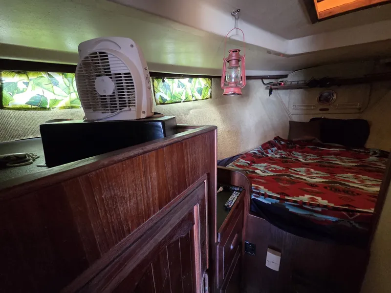 Slide: The Image of Morgan Out Island 33 1976 - 6044298