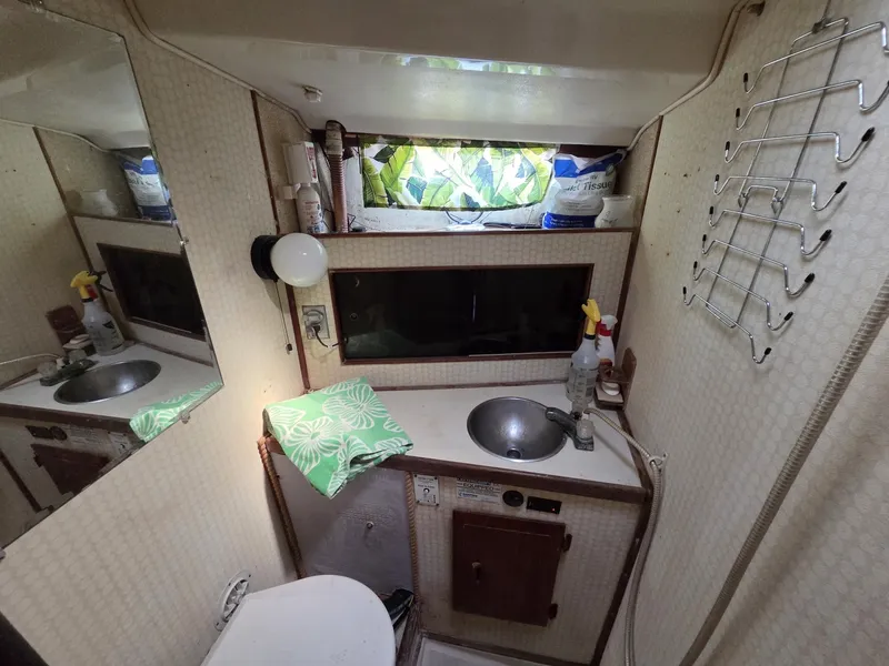 Slide: The Image of Morgan Out Island 33 1976 - 6044296