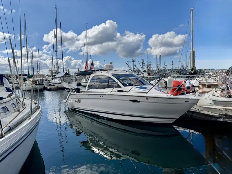 The Image of Cutwater C-24 2022 - undefined