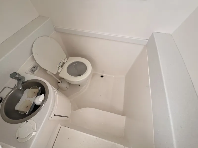 Slide: The Image of Intrepid 32 PATRICIA - Head 2017 Intrepid 32 PATRICIA - 6047857