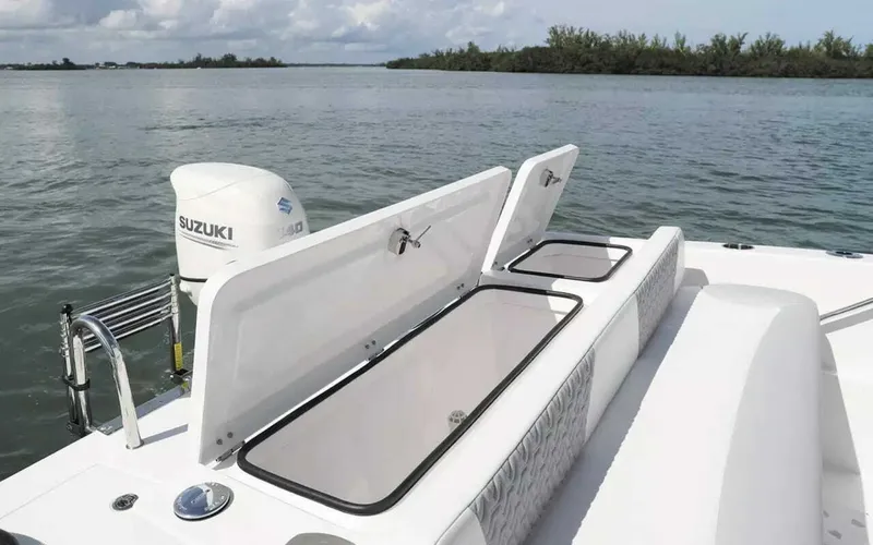 Slide: The Image of Twin Vee 240 GFX DC 2026 - 6048658