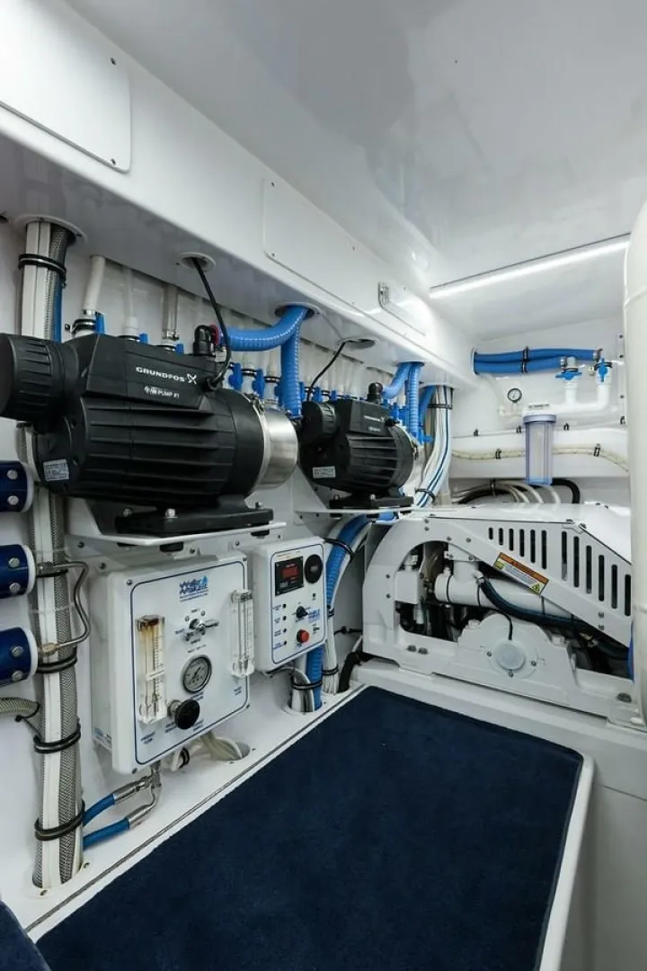 Slide: The Image of Weaver Custom Sportfish 2017 - 6049098