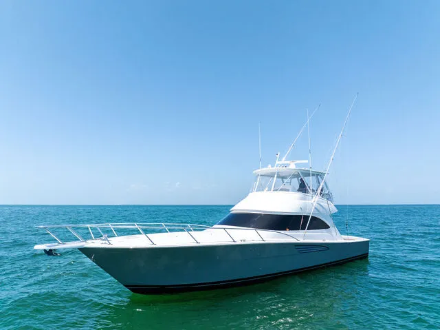 Slide: The Image of Viking 54 Convertible 2024 - 76