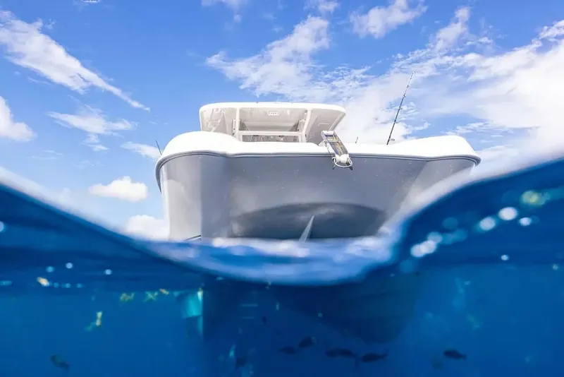 Slide: The Image of Twin Vee 260 GFX2 CC 2026 - 6050804