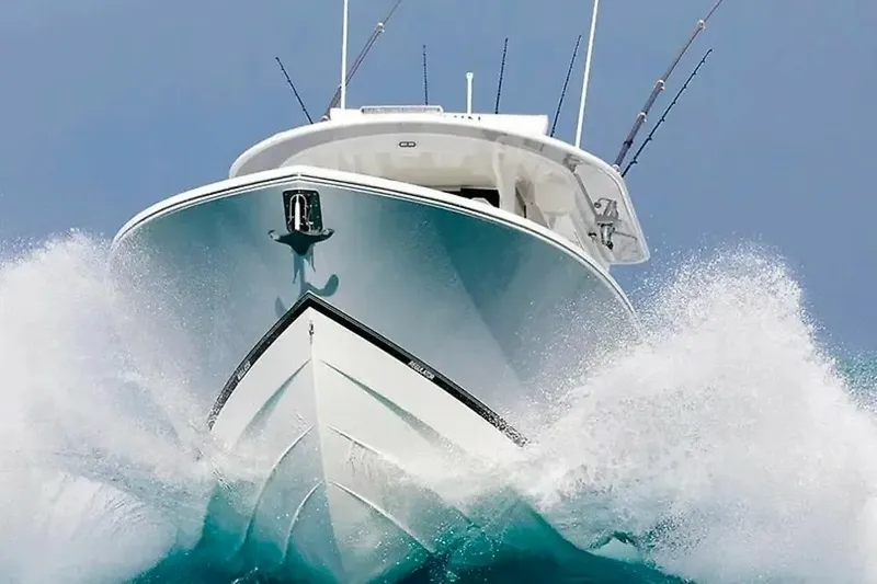 The Image of Regulator Marine 31 2027 - 6050947