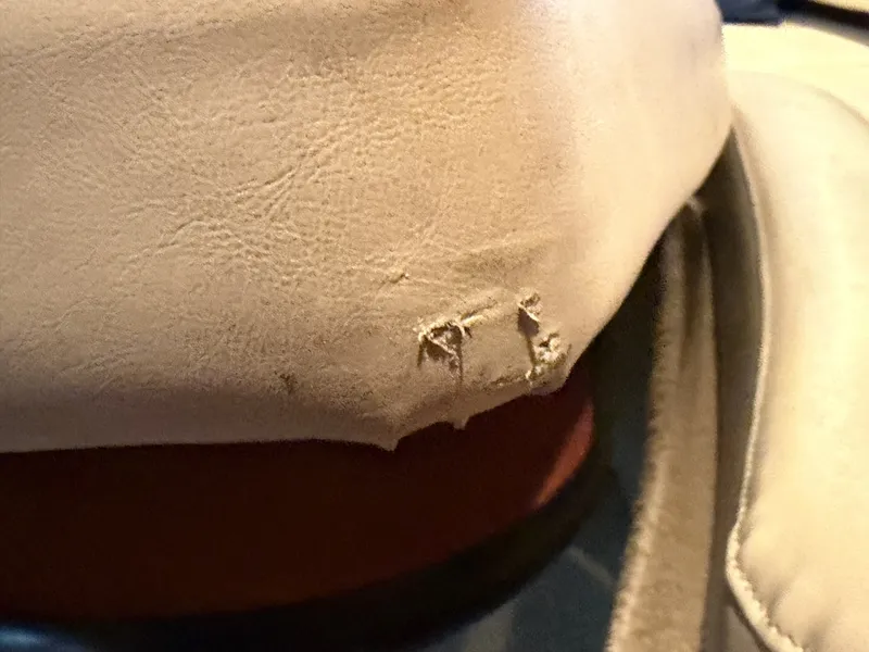 Slide: The Image of Rinker 280 Express Cruiser 2008 - 6051452