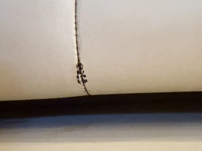 Slide: The Image of Rinker 280 Express Cruiser 2008 - 6051453