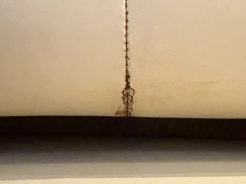 Slide: The Image of Rinker 280 Express Cruiser 2008 - 6051455