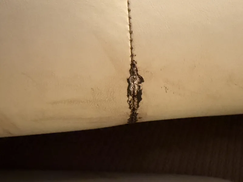 Slide: The Image of Rinker 280 Express Cruiser 2008 - 6051456