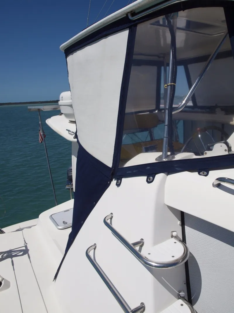 Slide: The Image of Leopard 44 2012 - 6052667