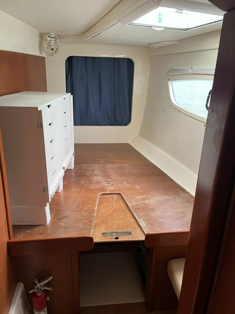 Slide: The Image of Leopard 44 2012 - 6052695