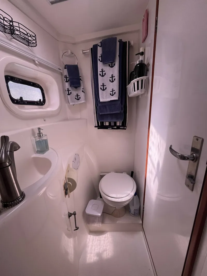 Slide: The Image of Leopard 44 2012 - 6052704